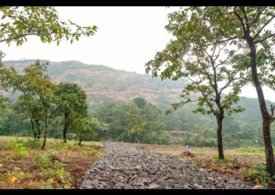Bliss Mulshi project